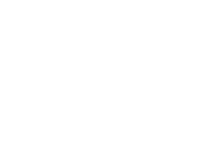 polarity-partnerships-logo